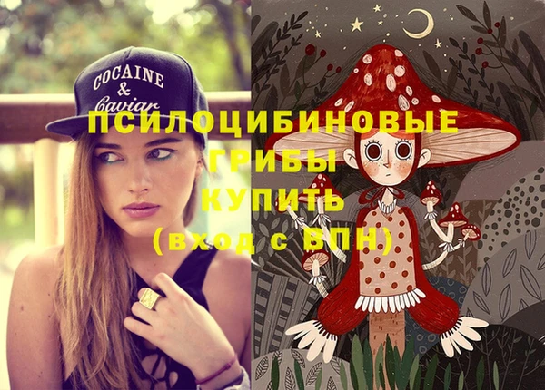 соль ск Балабаново